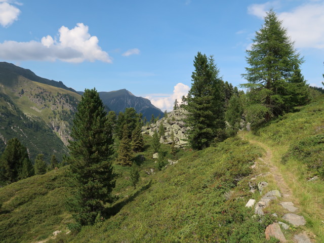 Waalweg Fundus zwischen Schartle und Frischmannh&uuml;tte (18. Aug.)