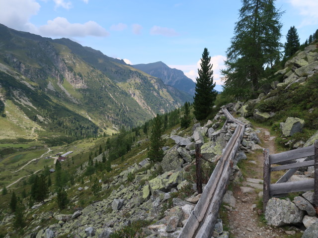 Waalweg Fundus zwischen Schartle und Frischmannh&uuml;tte (18. Aug.)