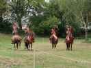 Reitershow 'Hunnische Kampfkunst' am Hunnenfest