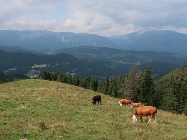 vom D&uuml;rrriegel Richtung Norden