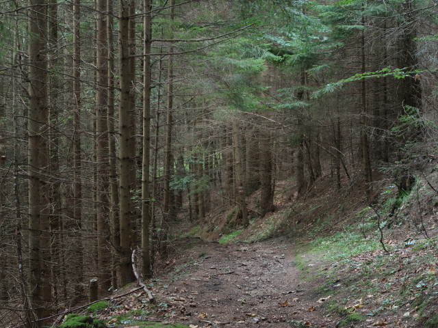 Weg 01 zwischen Almsteig und Maria Schutz