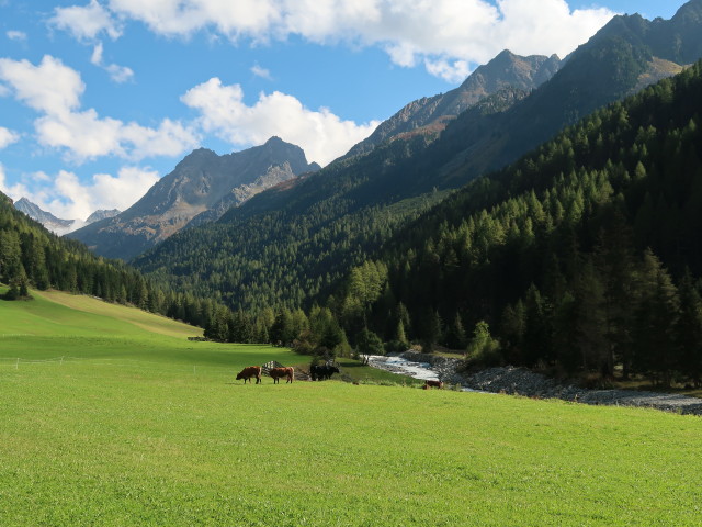 Sulztal (15. Sep.)