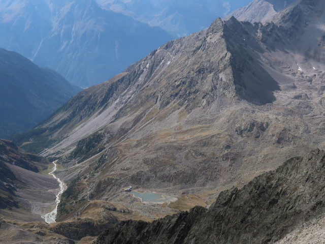 G&auml;nsekragen (16. Sep.)