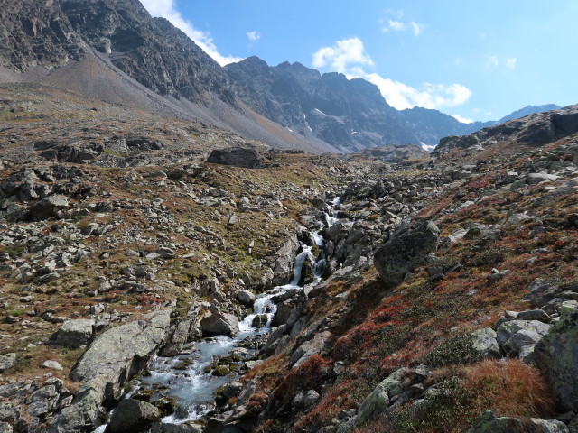 Zwieselbach (17. Sep.)