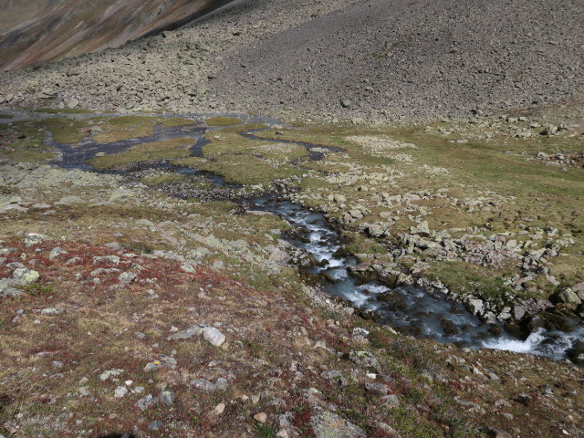 Zwieselbach (17. Sep.)