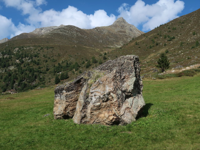 Zwieselbachfeld (17. Sep.)