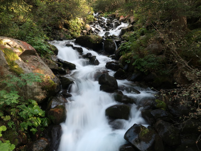 Grastalbach (17. Sep.)