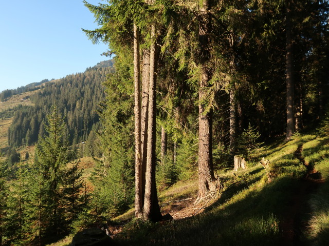 Weg 446 zwischen Gasthof Hinterreit und Hofer Plattl