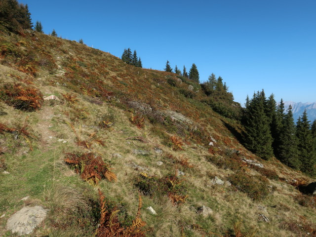 Weg 446 zwischen Hofer Hochberghütte und Brunnkopf