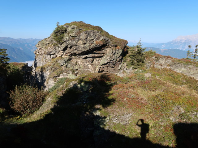 neben Weg 446 zwischen Hofer Hochberghütte und Brunnkopf