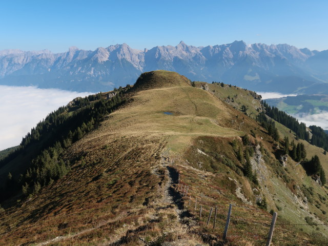 Weg 446 zwischen Brunnkopf und Schwalbenwand