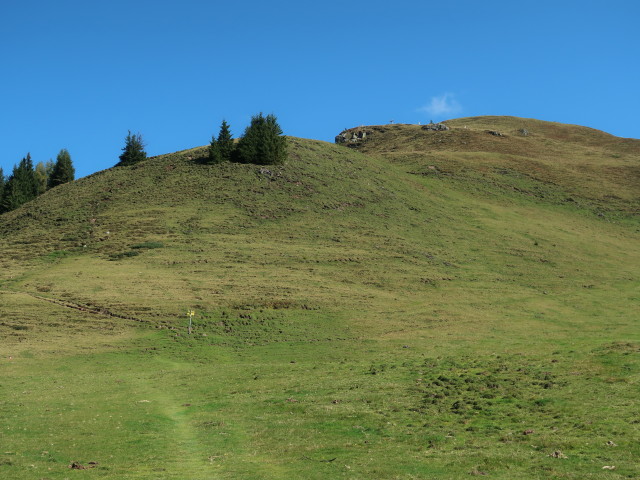 Weg 82 zwischen Schwalbenwand und Mitterberghof