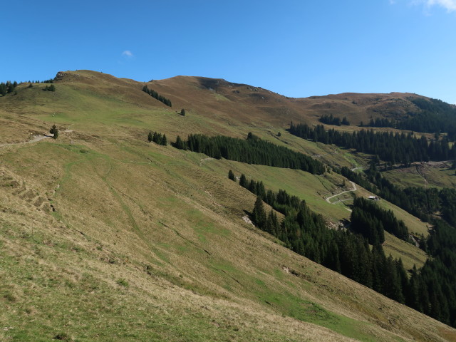 neben Weg 82 zwischen Schwalbenwand und Mitterberghof