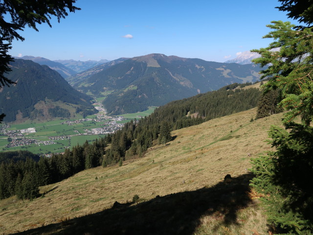 neben Weg 82 zwischen Schwalbenwand und Mitterberghof