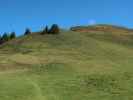 Weg 82 zwischen Schwalbenwand und Mitterberghof