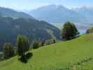 neben Weg 82 zwischen Schwalbenwand und Mitterberghof