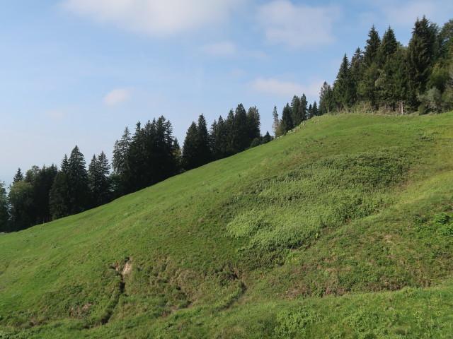 zwischen Schwendebach und Schwendealpe (29. Sep.)