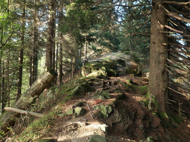 zwischen Hochälpele und Gschwendtalpe (29. Sep.)