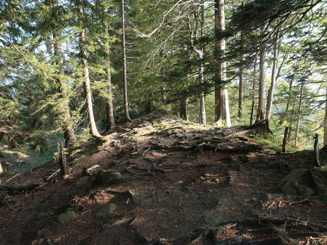 zwischen Hoch&auml;lpele und Gschwendtalpe (29. Sep.)