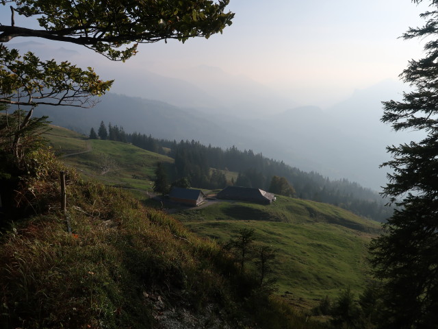 Gschwendtalpe, 1.249 m (29. Sep.)