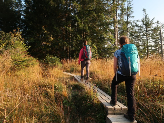 Romy und Sabine zwischen Gschwendtalpe und Bregenzer H&uuml;tte (29. Sep.)