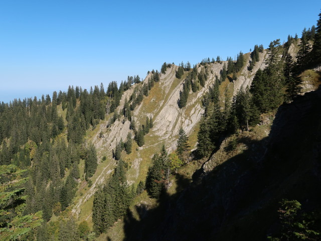 vom Weg 01 Richtung Nordosten (30. Sep.)