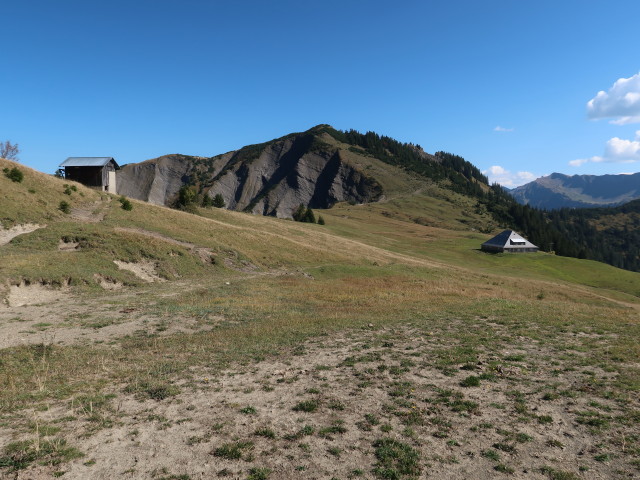 Altenhofalpe (30. Sep.)