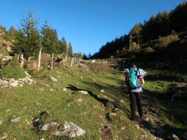 Sabine am Weg 601 zwischen Bosruckhütte und Rohrauerhaus (5. Okt.)