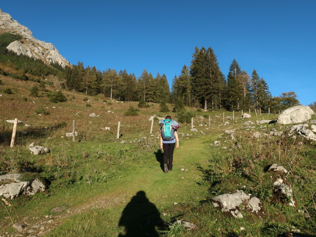 Sabine am Weg 601 zwischen Bosruckhütte und Rohrauerhaus (5. Okt.)