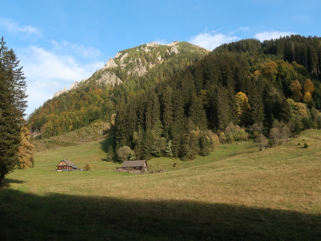 Fuchsalm, 1.051 m (6. Okt.)