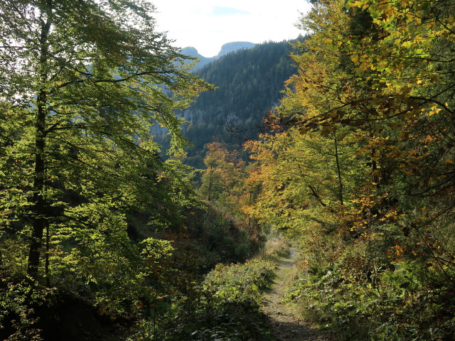 Weg 610 zwischen Fuchsalm und Pyhrnpass (6. Okt.)