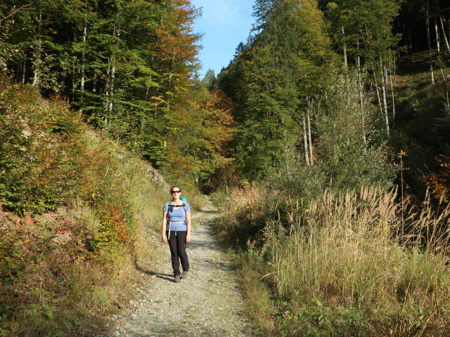 Sabine am Weg 610 zwischen Fuchsalm und Pyhrnpass (6. Okt.)