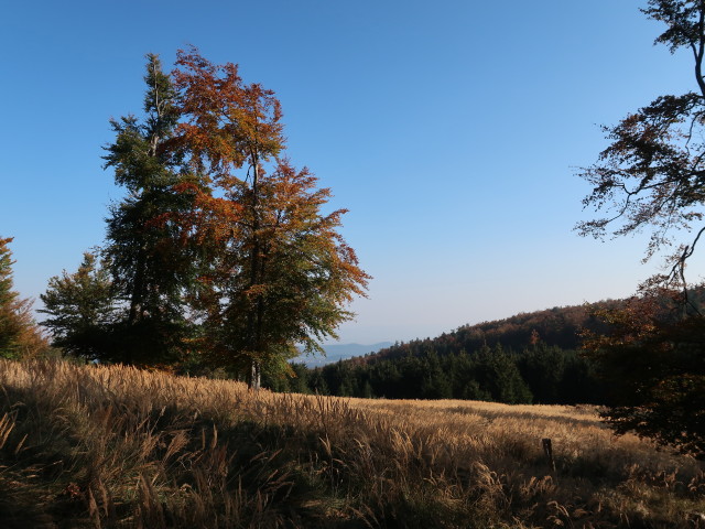 zwischen Waldegg und Vordere Mandling