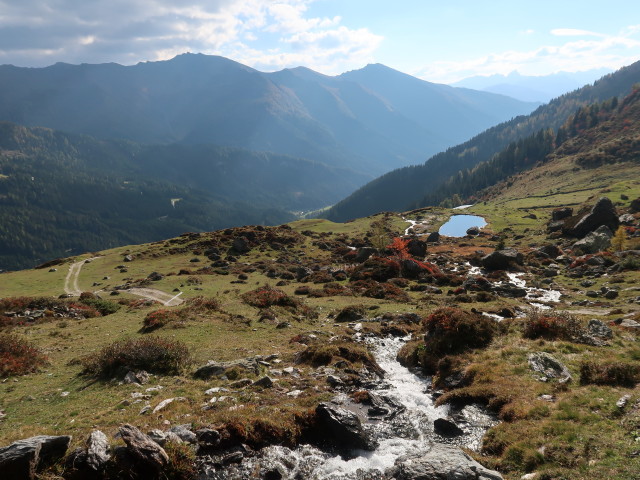 neben Weg 331 zwischen Grafmartalm und Zehenteralm (14. Okt)