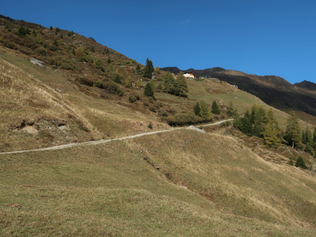 Weg 331 zwischen Zehenteralm und Peeralm (14. Okt)