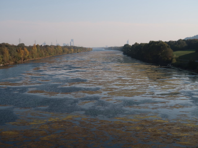 Neue Donau beim Einlaufbauwerk Langenzersdorf