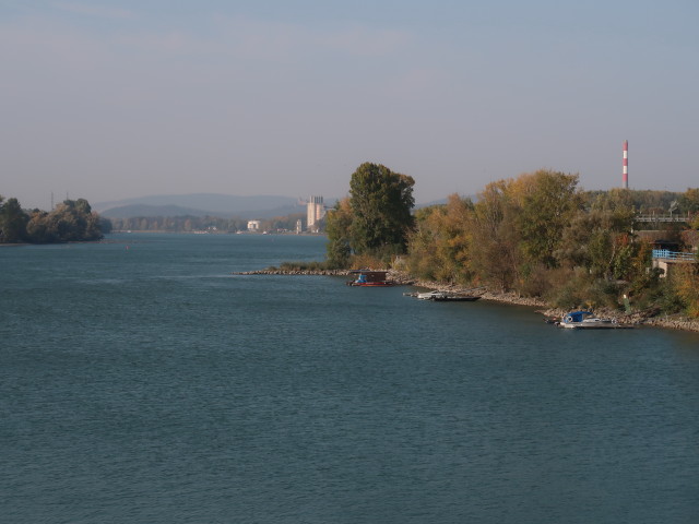 Donau beim Einlaufbauwerk Langenzersdorf