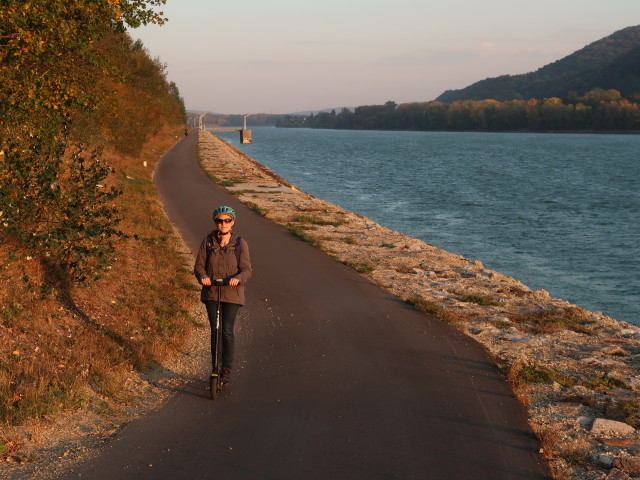 Sabine am Donauradweg bei Greifenstein