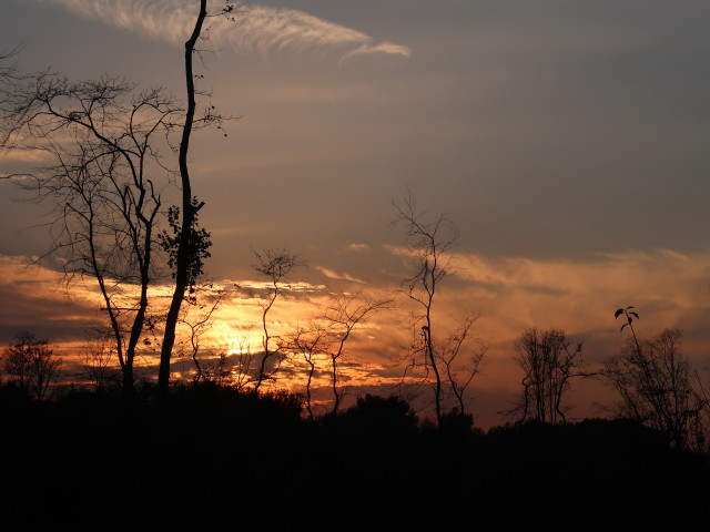 vom Graingut Richtung Westen
