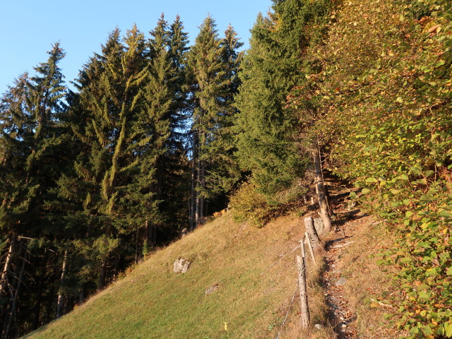 zwischen Galgenul und Gweiler Maisäß (20. Okt.)