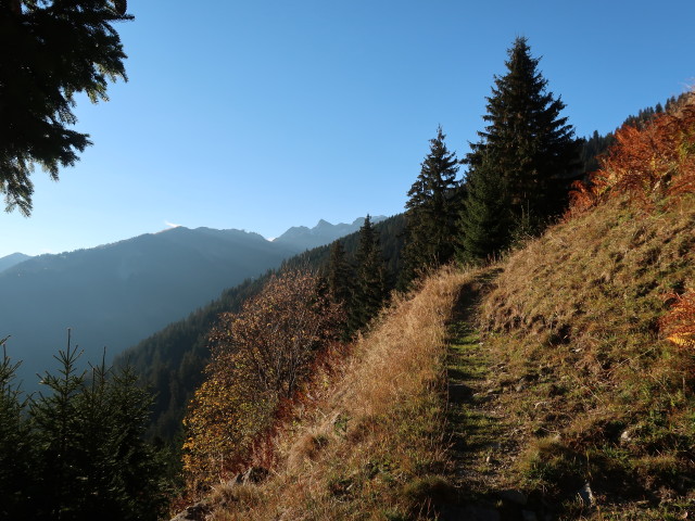 zwischen Gweiler Maisäß und Innergweilalpe (20. Okt.)
