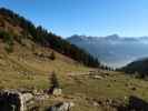 zwischen Innergweilalpe und Gweiljoch (20. Okt.)