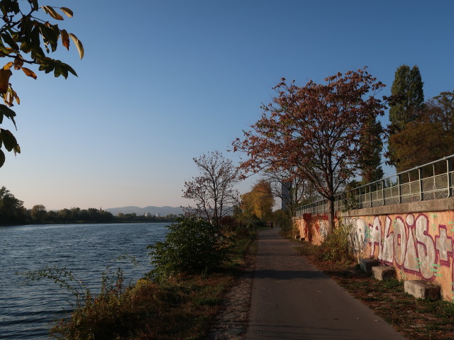 zwischen Kaisermühlenbucht und Donaustadtbrücke