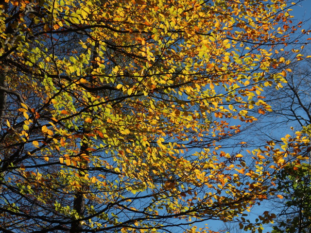 neben dem Ferdinand-Mayr-Weg