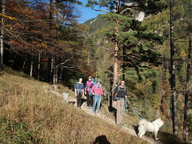 Sabine, Janna, Kerstin und Stefan am Ferdinand-Mayr-Weg