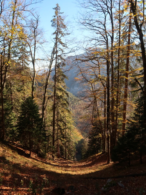 neben dem Ferdinand-Mayr-Weg