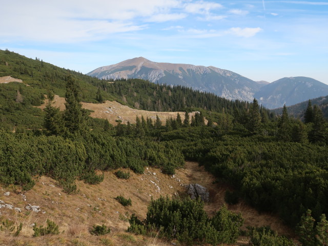 zwischen Wolfgang-Dirnbacher-Hütte und Scheibwaldhöhe