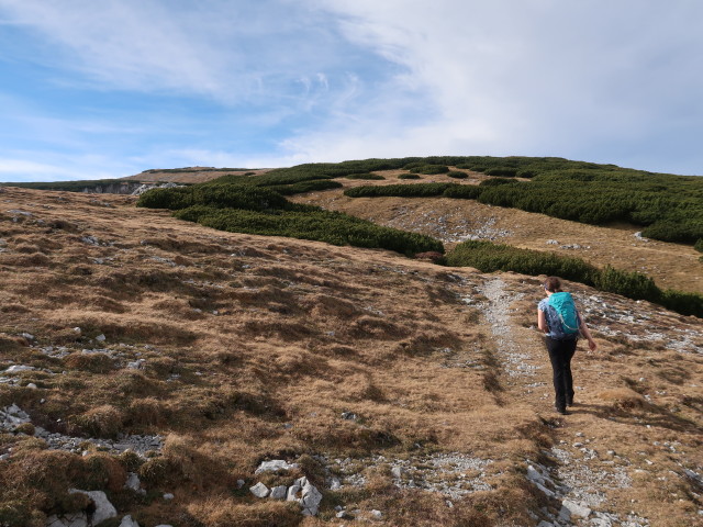 Sabine zwischen Wolfgang-Dirnbacher-H&uuml;tte und Scheibwaldh&ouml;he