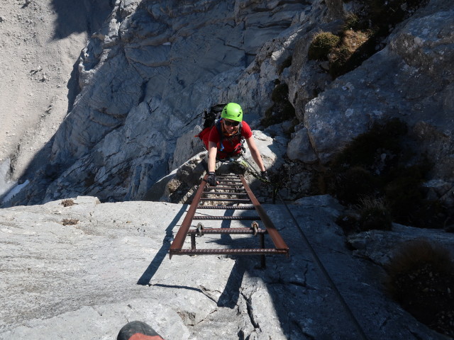 Bert-Rinesch-Klettersteig: Carmen in der 1. steilen anhaltenden Wand mit Leitern