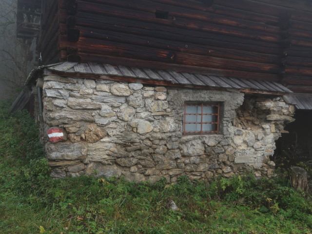 neben Weg 29 zwischen Erdfunkstelle Aflenz und Gussgraben